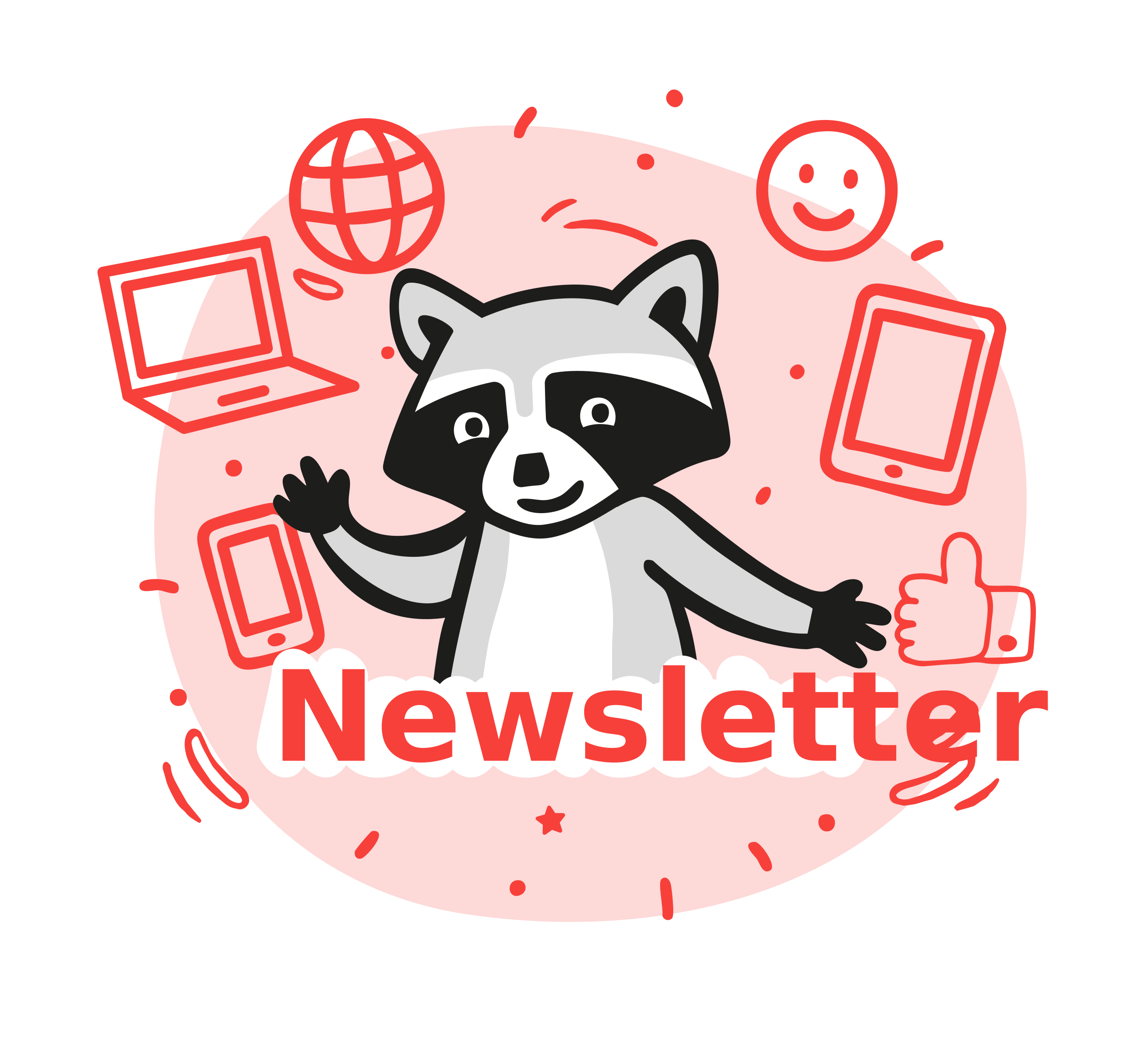 Ilustración de mapache Gullibare con dispositivos digitales y texto “Newsletter”, en colores rojo y rosa.